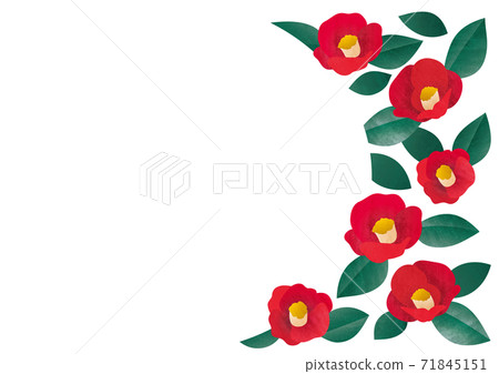 Camellia decorative design - Stock Illustration [71845151] - PIXTA