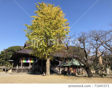 Nakayama Hokekyoji Temple and Daiginko Nakayama Hokekyoji Temple and Daiginko 71845371