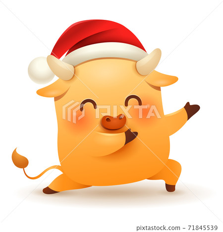 Cute little Ox wearing a Christmas Santa Red Cap Cute little Ox wearing a Christmas Santa Red Cap 71845539