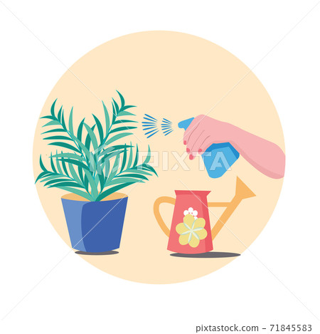 Hand holding Spray Bottle for watering potted flowers 71845583