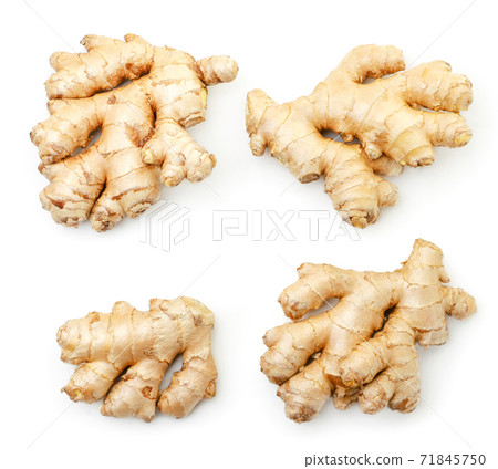 Ginger fresh and whole set on white background, isolated. The view from top 71845750