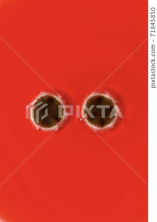 Vertical image of two round spots of brown mold. On a red background. Vertical image of two round spots of brown mold. On a red background. 71845850