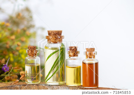 Collection of essential herbal oil bottles, aromatherapy or spa concept Collection of essential herbal oil bottles, aromatherapy or spa concept 71845853