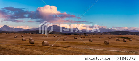 Panoramic View of Bales of Hay in a farm field. Panoramic View of Bales of Hay in a farm field. 71846372