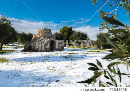 Beautiful trullo with olive grove in the snow, Manduria, Salento, apulian landscape after a snowfall, unusual cold winter in Puglia Beautiful trullo with olive grove in the snow, Manduria, Salento, apulian landscape after a snowfall, unusual cold winter in Puglia 71848098