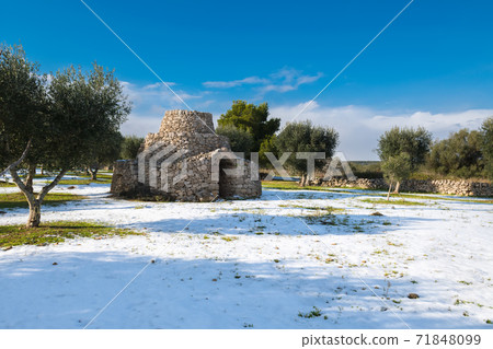 Beautiful trullo with olive grove in the snow, Manduria, Salento, apulian landscape after a snowfall, unusual cold winter in Puglia Beautiful trullo with olive grove in the snow, Manduria, Salento, apulian landscape after a snowfall, unusual cold winter in Puglia 71848099