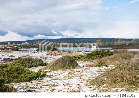 Natural reserve Salina dei Monaci in the snow, Puglia, Italy Natural reserve Salina dei Monaci in the snow, Puglia, Italy 71848102