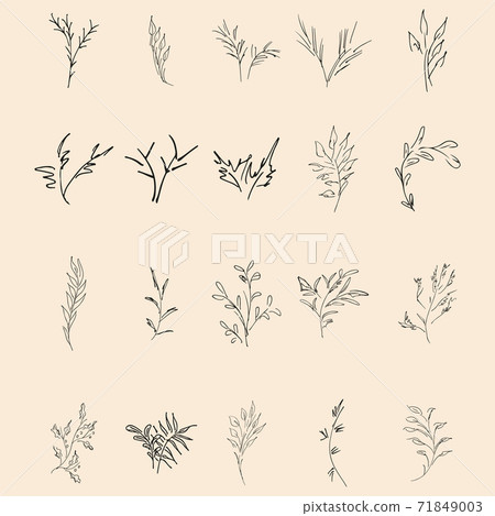 Doodle simple collection of 20 hand-drawn floral elements. Big collection of 20 hand-drawn branches. Big floral botanical set. Isolated Doodle simple collection of 20 hand-drawn floral elements. Big collection of 20 hand-drawn branches. Big floral botanical set. Isolated 71849003