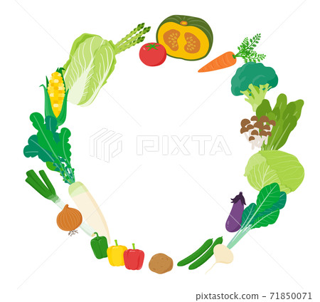 vector, vectors, vegetables 71850071