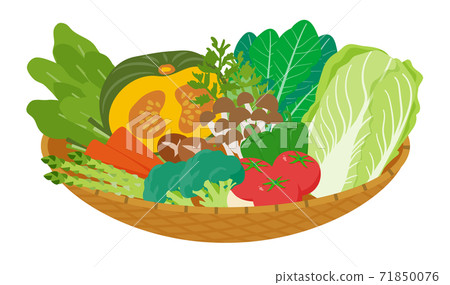 vector, vectors, vegetables 71850076