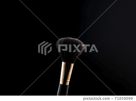 Make up brush powder blusher 71850099