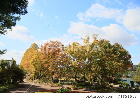 秋天植物園 71851615
