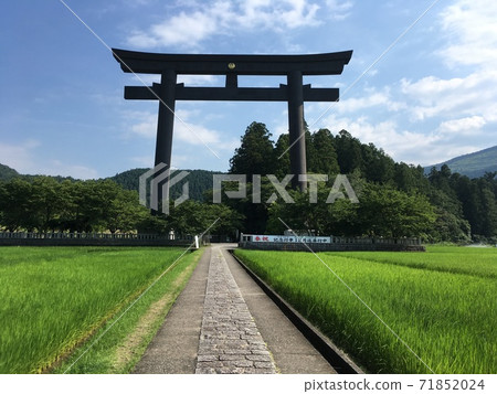 Kumano Kodo 71852024