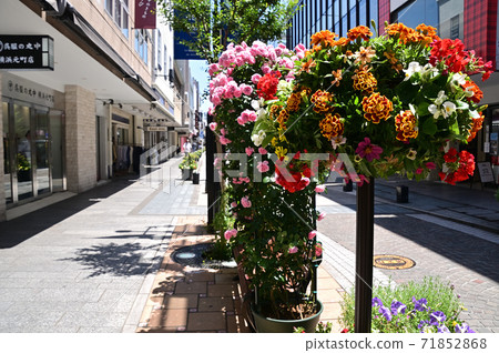 Motomachi, Yokohama, decorated with flowers 71852868