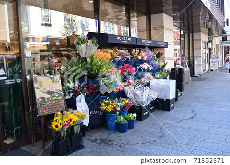 Motomachi, Yokohama, decorated with flowers Motomachi, Yokohama, decorated with flowers 71852871