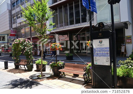 橫濱元町裝飾著花朵 橫濱元町裝飾著花朵 71852876