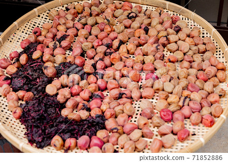 Salted plum Salted plum 71852886
