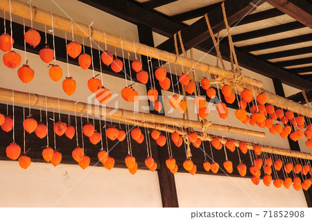Orange dried persimmon hung on the eaves 71852908