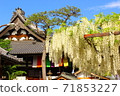 Fuji Festival at Kuzui Temple 71853227