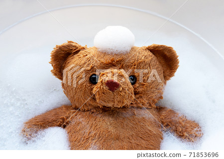 Soak toy bear in laundry detergent water dissolution before washing.  Laundry concept, Top view 71853696