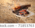 Bonfire 71853763