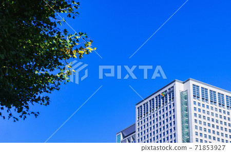 Microsoft Japan Headquarters [Tokyo Cityscape] 71853927
