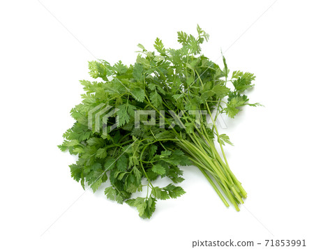 Herb Churville Herb Churville 71853991