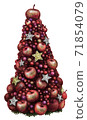 Apple tree 71854079