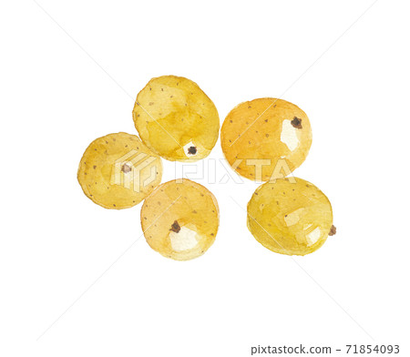 馬魯拉瑪拉 馬魯拉瑪拉 71854093