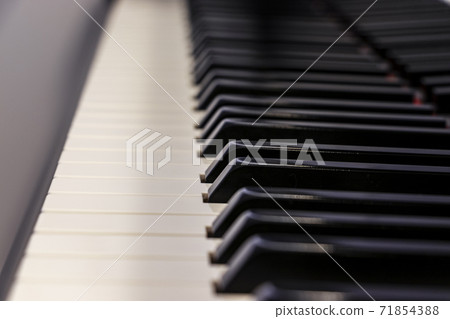 鋼琴鍵盤 鋼琴鍵盤 71854388