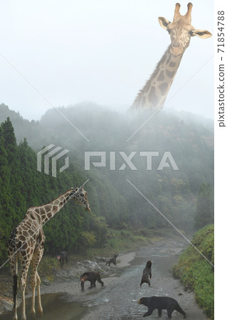Fog giraffe Fog giraffe 71854788