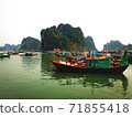 Halong Bay  71855418