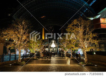 Illumination of Yebisu Garden Place Illumination of Yebisu Garden Place 71856081