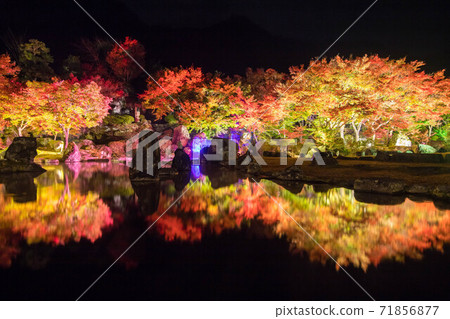 秋葉照亮山庭院 71856877