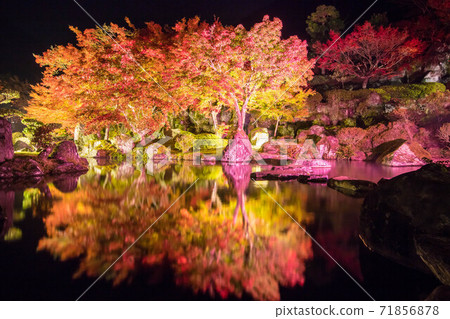 Autumn leaves light up at Keisekien (Yabakei Valley, Nakatsu City, Oita Prefecture) 71856878