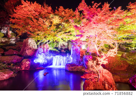 Autumn leaves light up of mountain garden 71856882