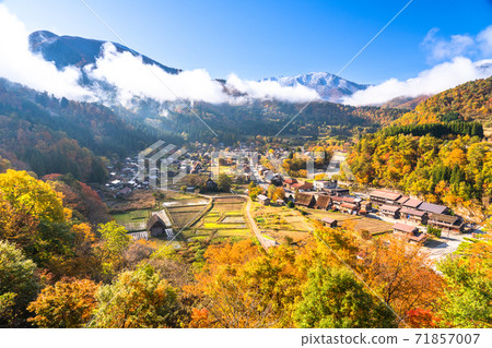 《Gifu Prefecture》 Autumn Shirakawa-go, autumn leaves gassho-zukuri village 《Gifu Prefecture》 Autumn Shirakawa-go, autumn leaves gassho-zukuri village 71857007