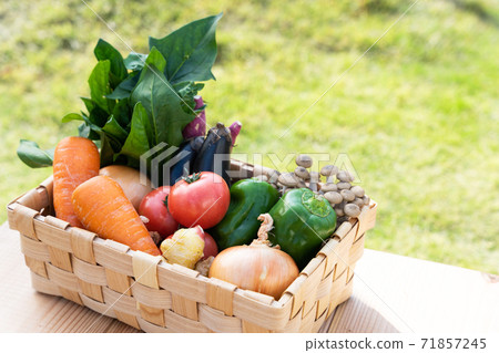 Assortment of vegetables 71857245