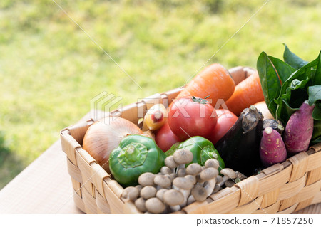 Assortment of vegetables Assortment of vegetables 71857250