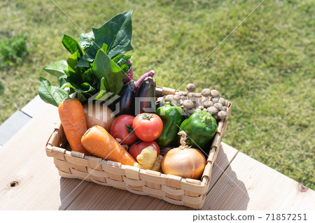 Assortment of vegetables Assortment of vegetables 71857251