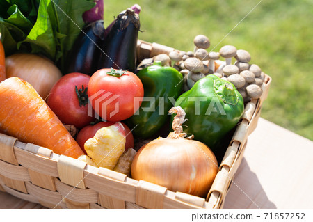 Assortment of vegetables Assortment of vegetables 71857252
