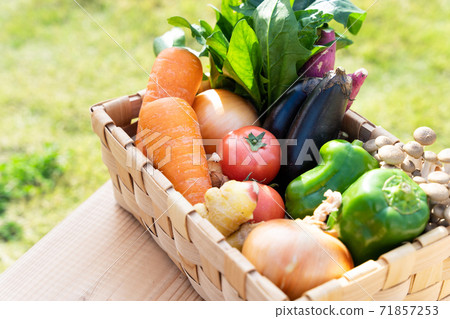 Assortment of vegetables Assortment of vegetables 71857253