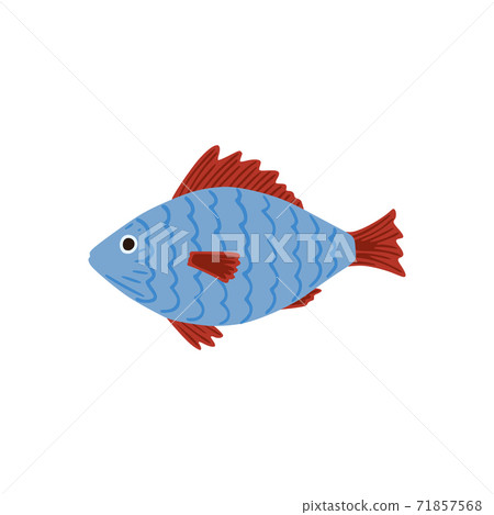 Fish isolated on white background. Cartoon cute blue and red color in doodle. 71857568