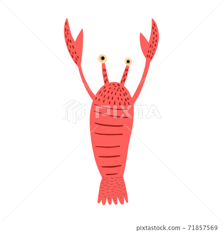Crayfish isolated on white background. Cartoon cute red color in doodle. 71857569