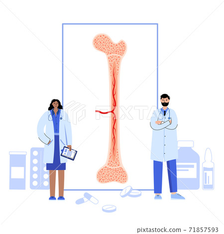 Bones template concept 71857593