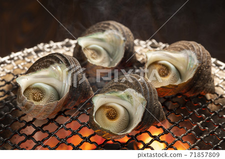 Bamboo grass of Sazae 71857809