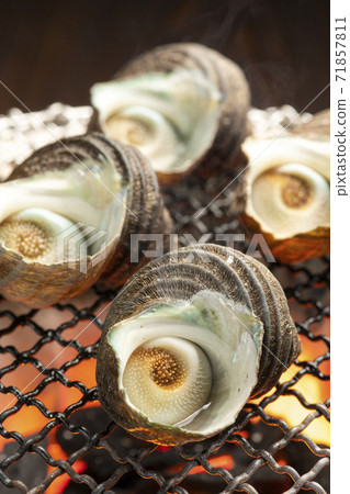 Bamboo grass of Sazae 71857811