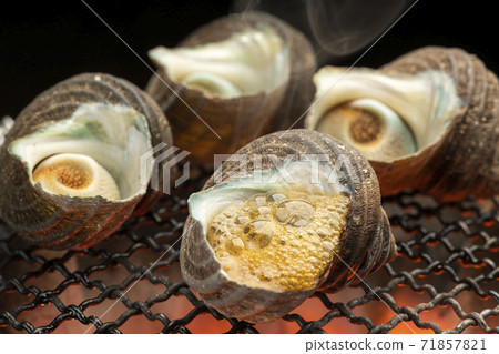 Bamboo grass of Sazae Bamboo grass of Sazae 71857821