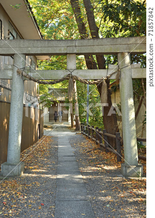 昭神社/專區神社近平神社石鳥居 昭神社/專區神社近平神社石鳥居 71857842