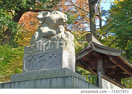 Tsuki Shrine / Precinct Entrance Koma Rabbit 71857851